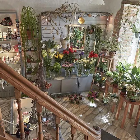 Πανσιόν Beguta 3*