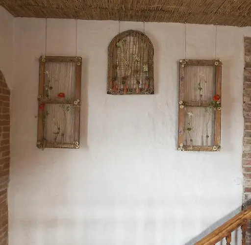 Beguta Хаапсалу