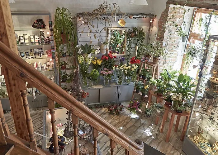 Πανσιόν Beguta 3*