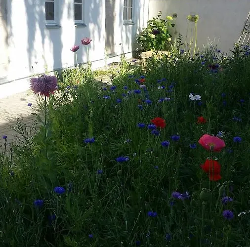 Beguta Πανσιόν 3*