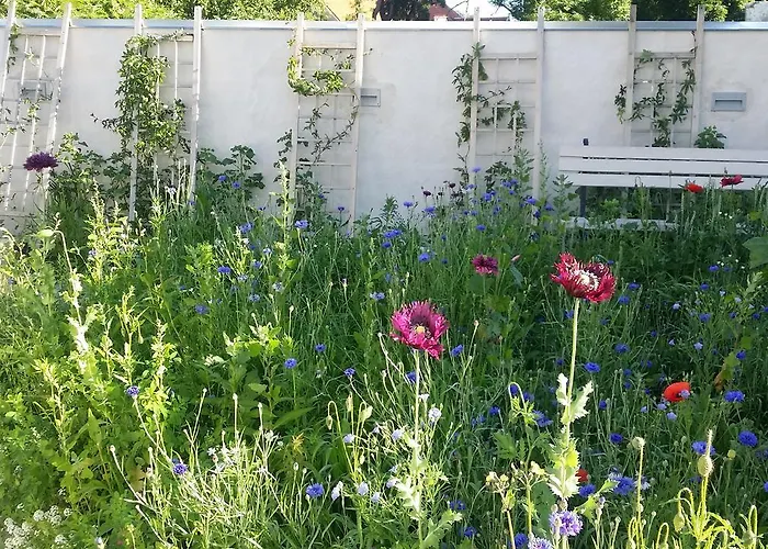 Πανσιόν Beguta